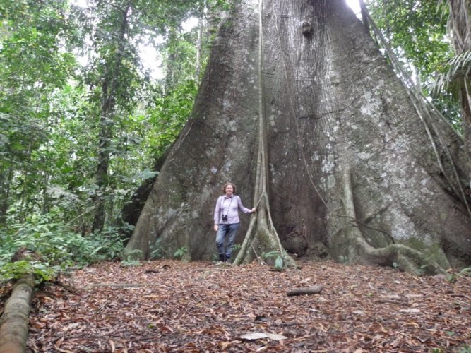 Manu National Park, WHS site Manu National Park, WHS site